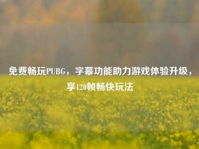 免费畅玩PUBG，字幕功能助力游戏体验升级，享120帧畅快玩法