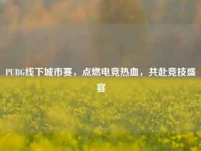 PUBG线下城市赛，点燃电竞热血，共赴竞技盛宴