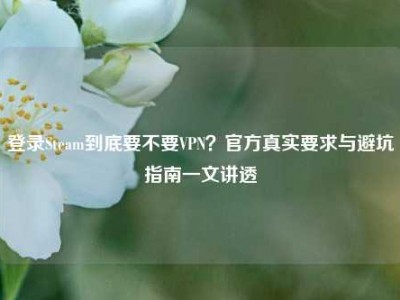 登录Steam到底要不要VPN？官方真实要求与避坑指南一文讲透