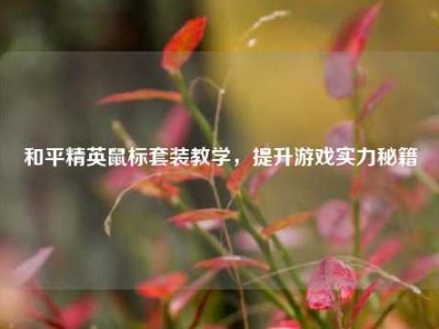 和平精英鼠标套装教学，提升游戏实力秘籍