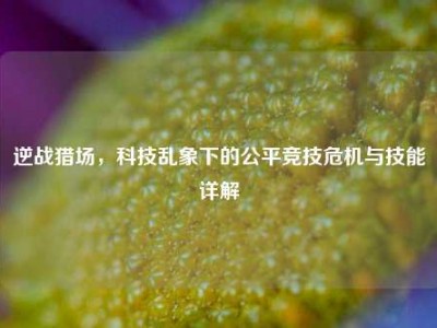 逆战猎场，科技乱象下的公平竞技危机与技能详解