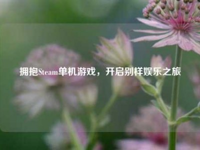 拥抱Steam单机游戏，开启别样娱乐之旅