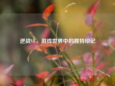 逆战VE，游戏世界中的独特印记
