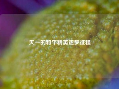 天一的和平精英逐梦征程
