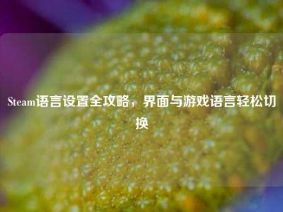 Steam语言设置全攻略，界面与游戏语言轻松切换
