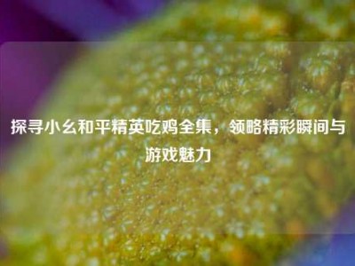 探寻小幺和平精英吃鸡全集，领略精彩瞬间与游戏魅力