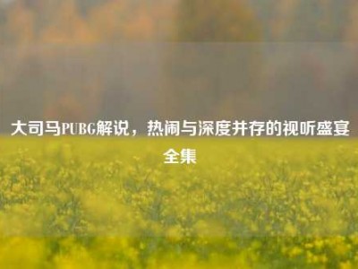 大司马PUBG解说，热闹与深度并存的视听盛宴全集