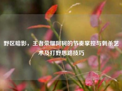 野区暗影，王者荣耀阿轲的节奏掌控与刺杀艺术及打野思路技巧