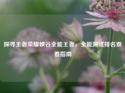 探寻王者荣耀峡谷全能王者，全能测试排名查看指南