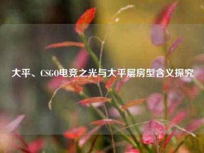 大平、CSGO电竞之光与大平层房型含义探究