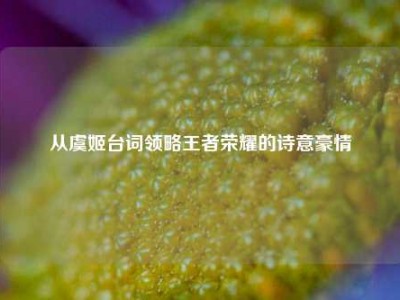 从虞姬台词领略王者荣耀的诗意豪情