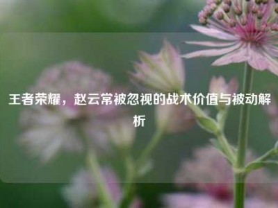 王者荣耀，赵云常被忽视的战术价值与被动解析