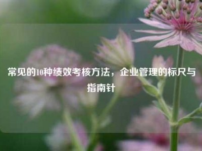 常见的10种绩效考核方法，企业管理的标尺与指南针