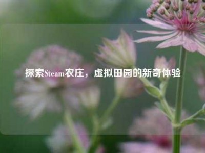 探索Steam农庄，虚拟田园的新奇体验