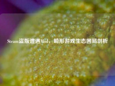Steam盗版遭遇Mod，畸形游戏生态困局剖析