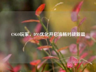 CSGO玩家，DNS优化开启流畅对战新篇