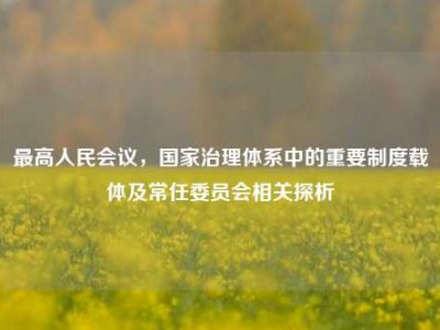 最高人民会议，国家治理体系中的重要制度载体及常任委员会相关探析