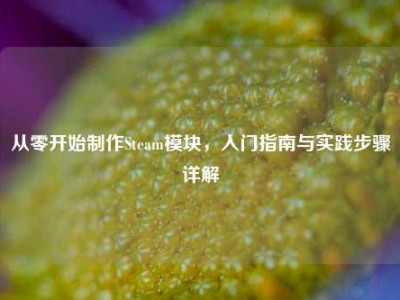 从零开始制作Steam模块，入门指南与实践步骤详解