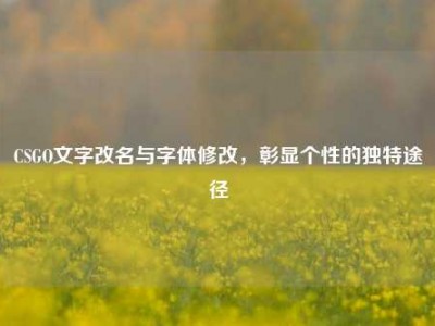 CSGO文字改名与字体修改，彰显个性的独特途径