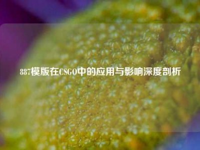 887模版在CSGO中的应用与影响深度剖析