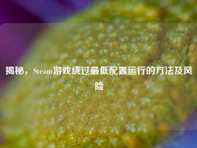 揭秘，Steam游戏绕过最低配置运行的方法及风险