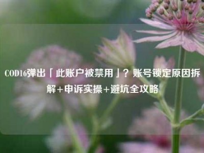COD16弹出「此账户被禁用」？账号锁定原因拆解+申诉实操+避坑全攻略