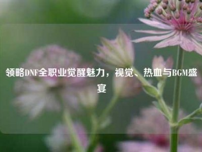 领略DNF全职业觉醒魅力，视觉、热血与BGM盛宴