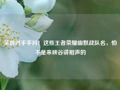 笑到对手手抖！这些王者荣耀幽默战队名，怕不是来峡谷讲相声的