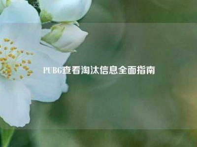 PUBG查看淘汰信息全面指南
