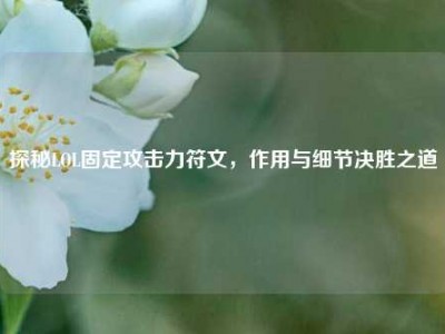 探秘LOL固定攻击力符文，作用与细节决胜之道