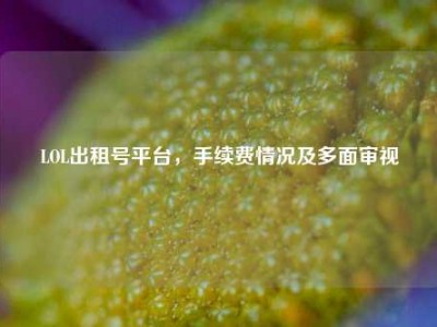LOL出租号平台，手续费情况及多面审视