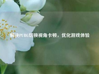 解决PUBG切换视角卡顿，优化游戏体验