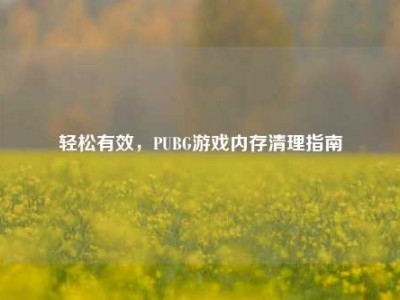 轻松有效，PUBG游戏内存清理指南