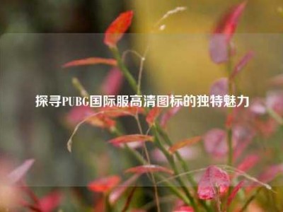 探寻PUBG国际服高清图标的独特魅力