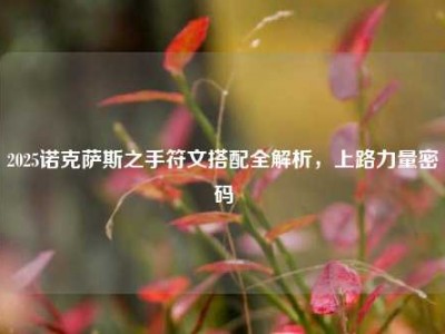 2025诺克萨斯之手符文搭配全解析，上路力量密码