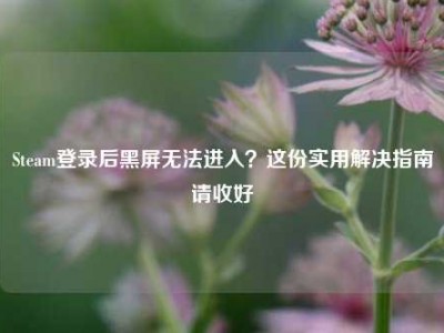 Steam登录后黑屏无法进入？这份实用解决指南请收好