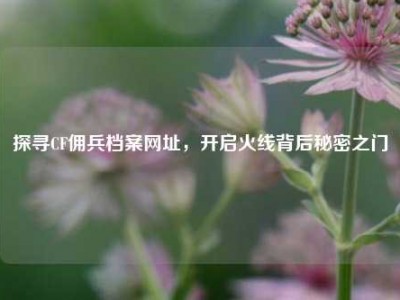 探寻CF佣兵档案网址，开启火线背后秘密之门