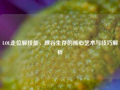 LOL走位躲技能，峡谷生存的核心艺术与技巧解析