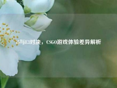 i5与E3对决，CSGO游戏体验差异解析