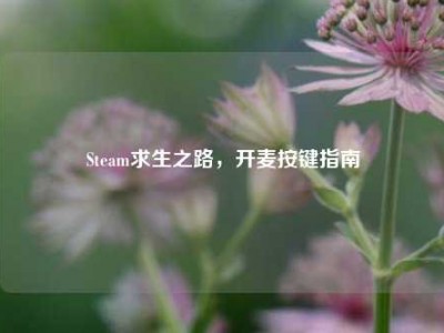 Steam求生之路，开麦按键指南