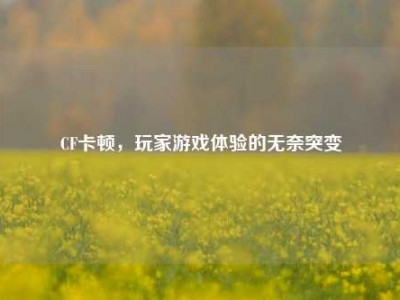 CF卡顿，玩家游戏体验的无奈突变