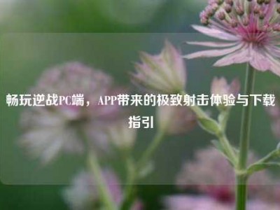 畅玩逆战PC端，APP带来的极致射击体验与下载指引