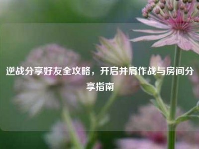 逆战分享好友全攻略，开启并肩作战与房间分享指南