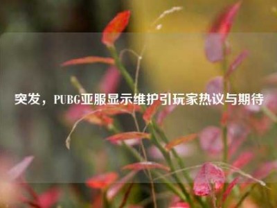 突发，PUBG亚服显示维护引玩家热议与期待