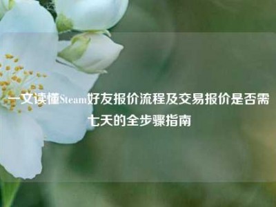 一文读懂Steam好友报价流程及交易报价是否需七天的全步骤指南