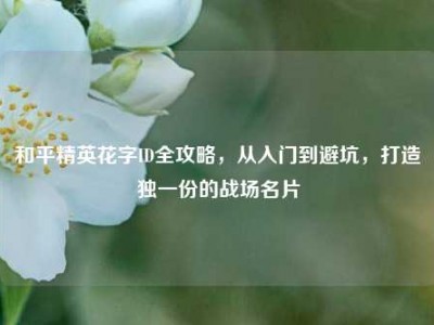 和平精英花字ID全攻略，从入门到避坑，打造独一份的战场名片