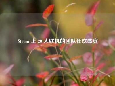 Steam 上 20 人联机的团队狂欢盛宴