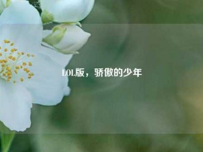 LOL版，骄傲的少年