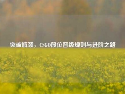 突破瓶颈，CSGO段位晋级规则与进阶之路