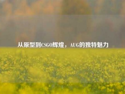 从原型到CSGO辉煌，AUG的独特魅力